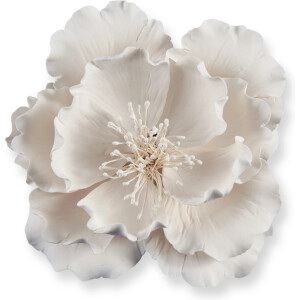 Παιώνια μη βρώσιμη Sugart