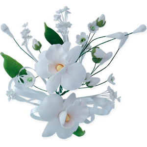 Ορχιδέα λευκή μη βρώσιμη Sugart