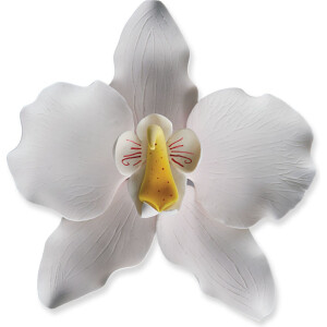 Ορχιδέα λευκή μη βρώσιμη 12cm Sugart