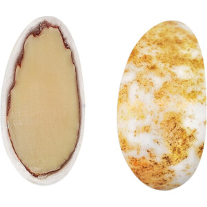 Κουφέτα αμυγδάλου Supreme καραμέλα 800γρ χρυσό πιτσιλωτό Χατζηγιαννάκη