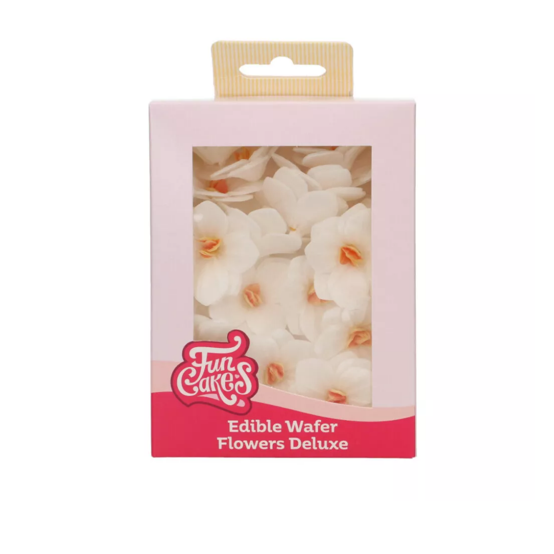 Ορτανσίες βάφλας hydrangea λευκές μικρές 18τεμ Funcakes