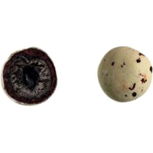 Βότσαλα Ιθάκη 450γρ Χατζηγιαννάκη