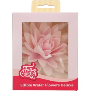 Παιώνια βάφλας ροζ όμπρε μεγάλη Deluxe Funcakes