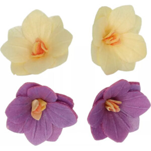 Ορτανσίες βάφλας hydrangea μωβ κίτρινες μικρές 18τεμ Funcakes