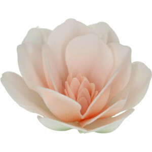 Μανόλιες βάφλας λευκές μεγάλες 6τεμ Funcakes