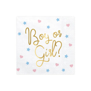 Χαρτοπετσέτες λευκές boy or girl 33cm 20τεμ PartyDeco